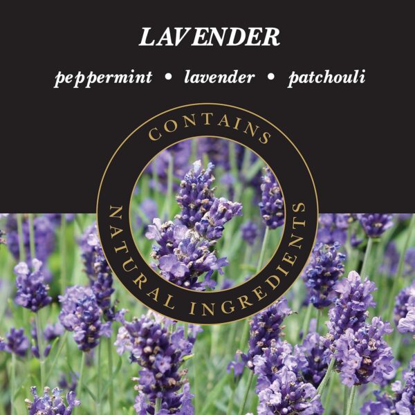 ASHLEIGH & BURWOOD | Lavender Lamp Fragrance | 1000 ml | Made in the UK | Floral Scent