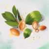 Herbal Essences Pure, Renew Argan Oil Repair Hair Mask