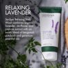 91rKvBBBopL._AC_SL1500_.jpg SenSpa Relaxing Lavender Body Wash - 200ml Vegan Shower Gel, Natural Body Wash with Geranium Oil, Organic Lavender Shower Gel for Women & Men, Cruelty Free, Luxury Spa Gifts for Women