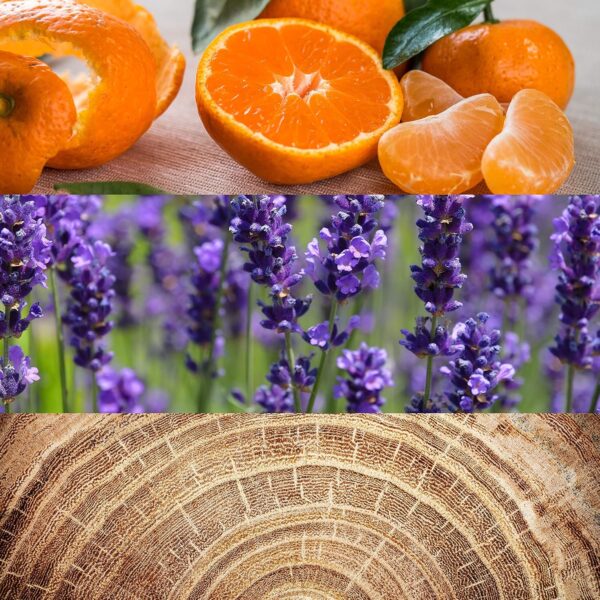 A1-R8A5R0rL._AC_SL1500_.jpg CALVIN KLEIN OBSESSION FOR MEN EDT 125ML